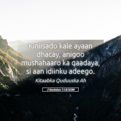 Picture 05 - 2 Korintos 11:8 SOM - Kiniisado kale ayaan dhacay, anigoo mushahaaro ka - Bible Verse Picture