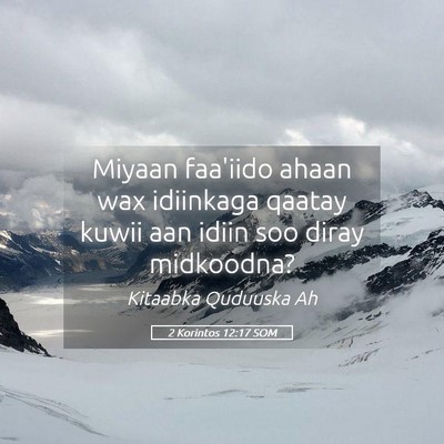 Picture 05 - 2 Korintos 12:17 SOM - Miyaan faa'iido ahaan wax idiinkaga qaatay kuwii - Bible Verse Picture