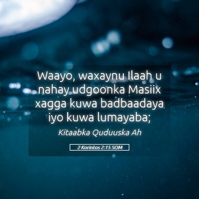 Picture 05 - 2 Korintos 2:15 SOM - Waayo, waxaynu Ilaah u nahay udgoonka Masiix - Bible Verse Picture