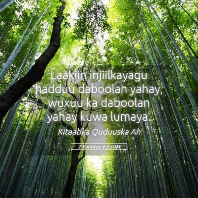 Picture 05 - 2 Korintos 4:3 SOM - Laakiin injiilkayagu hadduu daboolan yahay, wuxuu - Bible Verse Picture