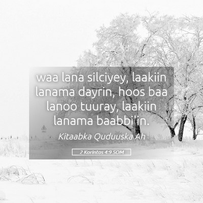 Picture 05 - 2 Korintos 4:9 SOM - waa lana silciyey, laakiin lanama dayrin, hoos - Bible Verse Picture