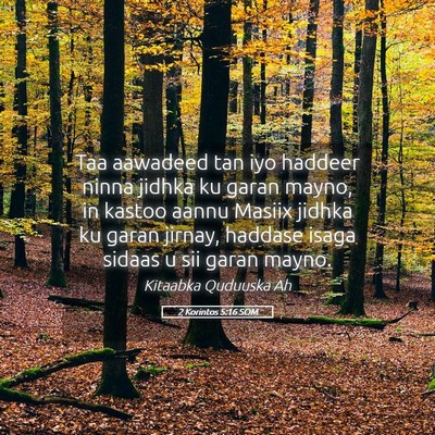 Picture 05 - 2 Korintos 5:16 SOM - Taa aawadeed tan iyo haddeer ninna jidhka ku - Bible Verse Picture