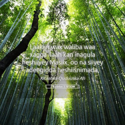 Picture 05 - 2 Korintos 5:18 SOM - Laakiin wax waliba waa xagga Ilaah kan inagula - Bible Verse Picture