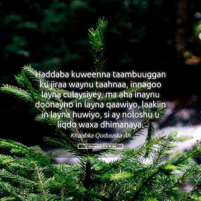 Picture 05 - 2 Korintos 5:4 SOM - Haddaba kuweenna taambuuggan ku jiraa waynu - Bible Verse Picture