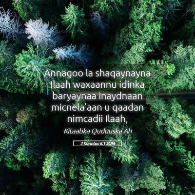 Picture 05 - 2 Korintos 6:1 SOM - Annagoo la shaqaynayna Ilaah waxaannu idinka - Bible Verse Picture