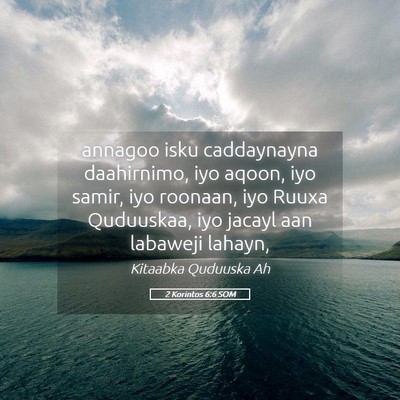 Picture 05 - 2 Korintos 6:6 SOM - annagoo isku caddaynayna daahirnimo, iyo aqoon, - Bible Verse Picture