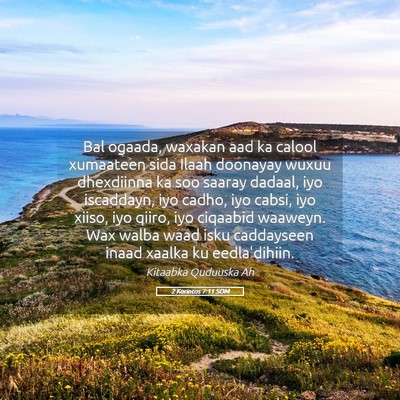 Picture 05 - 2 Korintos 7:11 SOM - Bal ogaada, waxakan aad ka calool xumaateen sida - Bible Verse Picture