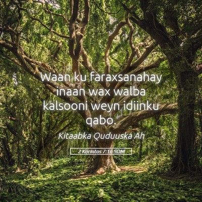 Picture 05 - 2 Korintos 7:16 SOM - Waan ku faraxsanahay inaan wax walba kalsooni - Bible Verse Picture