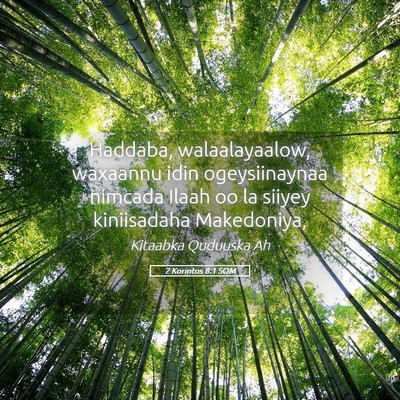 Picture 05 - 2 Korintos 8:1 SOM - Haddaba, walaalayaalow, waxaannu idin - Bible Verse Picture