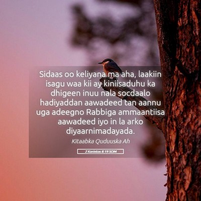 Picture 05 - 2 Korintos 8:19 SOM - Sidaas oo keliyana ma aha, laakiin isagu waa kii - Bible Verse Picture