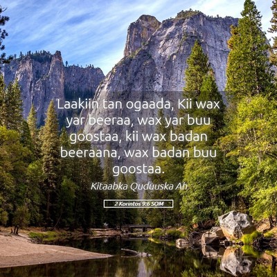 Picture 05 - 2 Korintos 9:6 SOM - Laakiin tan ogaada, Kii wax yar beeraa, wax yar - Bible Verse Picture