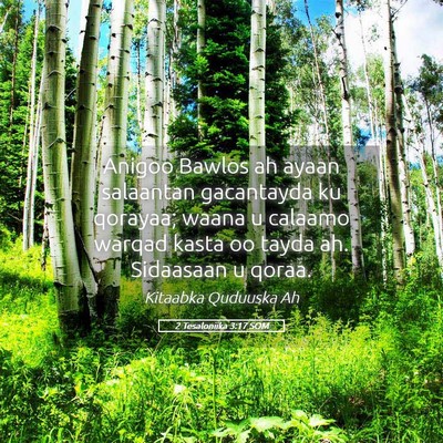 Picture 05 - 2 Tesaloniika 3:17 SOM - Anigoo Bawlos ah ayaan salaantan gacantayda ku - Bible Verse Picture