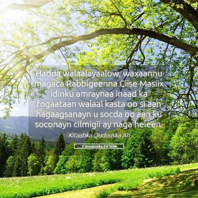 Picture 05 - 2 Tesaloniika 3:6 SOM - Hadda walaalayaalow, waxaannu magaca Rabbigeenna - Bible Verse Picture