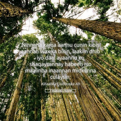 Picture 05 - 2 Tesaloniika 3:8 SOM - Ninnana kama aannu cunin kibis aannan wax ka - Bible Verse Picture