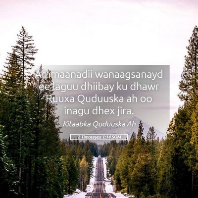 Picture 05 - 2 Timoteyos 1:14 SOM - Ammaanadii wanaagsanayd ee laguu dhiibay ku dhawr - Bible Verse Picture