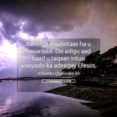 Picture 05 - 2 Timoteyos 1:18 SOM - Rabbigu maalintaas ha u naxariisto. Oo adigu aad - Bible Verse Picture