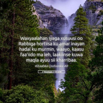 Picture 05 - 2 Timoteyos 2:14 SOM - Waxyaalahan iyaga xusuusi oo Rabbiga hortiisa ku - Bible Verse Picture