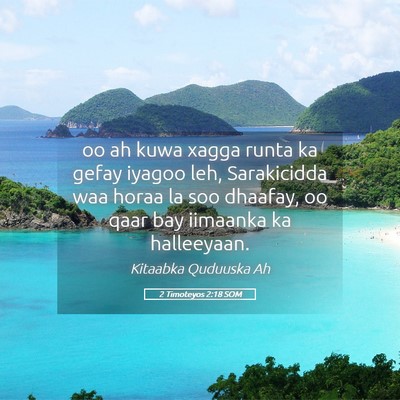 Picture 05 - 2 Timoteyos 2:18 SOM - oo ah kuwa xagga runta ka gefay iyagoo leh, - Bible Verse Picture