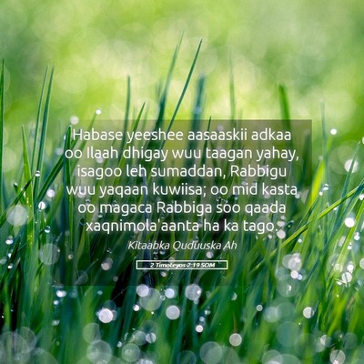 Picture 05 - 2 Timoteyos 2:19 SOM - Habase yeeshee aasaaskii adkaa oo Ilaah dhigay - Bible Verse Picture