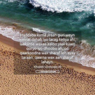 Picture 05 - 2 Timoteyos 2:20 SOM - Haddaba kuma jiraan guri weyn weelal dahab iyo - Bible Verse Picture