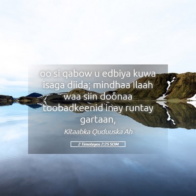 Picture 05 - 2 Timoteyos 2:25 SOM - oo si qabow u edbiya kuwa isaga diida; mindhaa - Bible Verse Picture