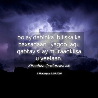 Picture 05 - 2 Timoteyos 2:26 SOM - oo ay dabinka Ibliiska ka baxsadaan, iyagoo lagu - Bible Verse Picture