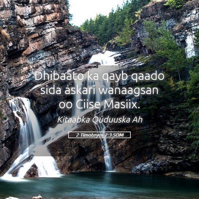 Picture 05 - 2 Timoteyos 2:3 SOM - Dhibaato ka qayb qaado sida askari wanaagsan oo - Bible Verse Picture