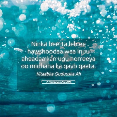 Picture 05 - 2 Timoteyos 2:6 SOM - Ninka beerta leh ee hawshoodaa waa inuu ahaadaa - Bible Verse Picture