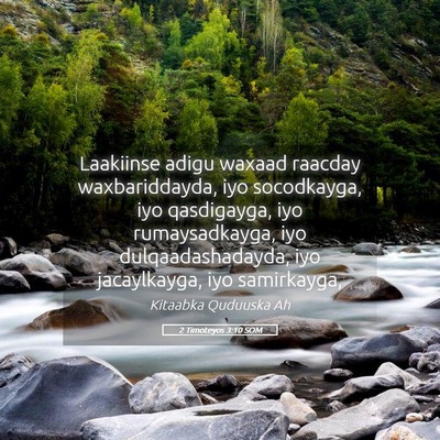 Picture 05 - 2 Timoteyos 3:10 SOM - Laakiinse adigu waxaad raacday waxbariddayda, iyo - Bible Verse Picture