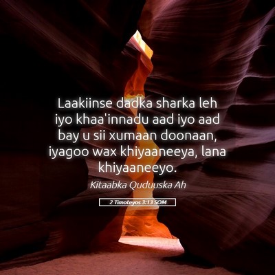 Picture 05 - 2 Timoteyos 3:13 SOM - Laakiinse dadka sharka leh iyo khaa'innadu aad - Bible Verse Picture