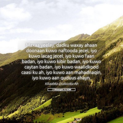 Picture 05 - 2 Timoteyos 3:2 SOM - Maxaa yeelay, dadku waxay ahaan doonaan kuwo - Bible Verse Picture