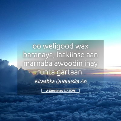 Picture 05 - 2 Timoteyos 3:7 SOM - oo weligood wax baranaya, laakiinse aan marnaba - Bible Verse Picture
