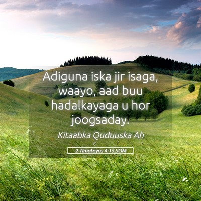 Picture 05 - 2 Timoteyos 4:15 SOM - Adiguna iska jir isaga, waayo, aad buu - Bible Verse Picture