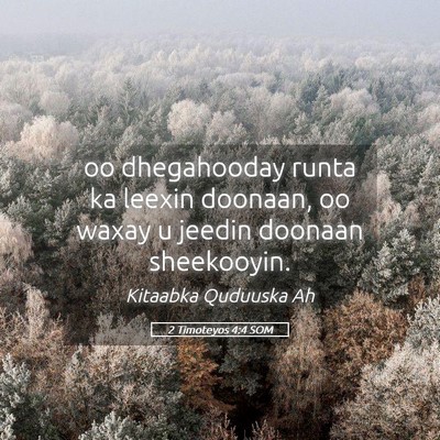Picture 05 - 2 Timoteyos 4:4 SOM - oo dhegahooday runta ka leexin doonaan, oo waxay - Bible Verse Picture