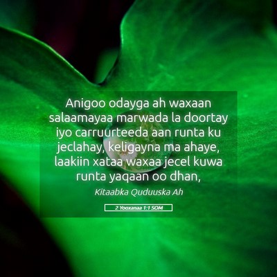 Picture 05 - 2 Yooxanaa 1:1 SOM - Anigoo odayga ah waxaan salaamayaa marwada la - Bible Verse Picture