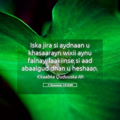 Picture 05 - 2 Yooxanaa 1:8 SOM - Iska jira si aydnaan u khasaarayn wixii aynu - Bible Verse Picture