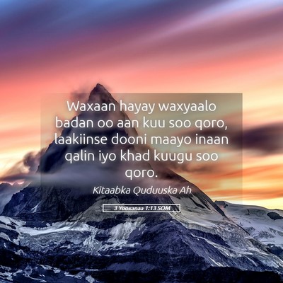 Picture 05 - 3 Yooxanaa 1:13 SOM - Waxaan hayay waxyaalo badan oo aan kuu soo qoro, - Bible Verse Picture