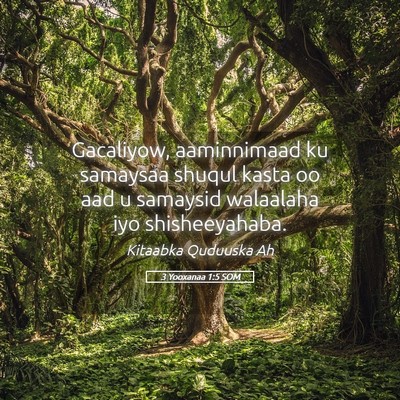 Picture 05 - 3 Yooxanaa 1:5 SOM - Gacaliyow, aaminnimaad ku samaysaa shuqul kasta - Bible Verse Picture