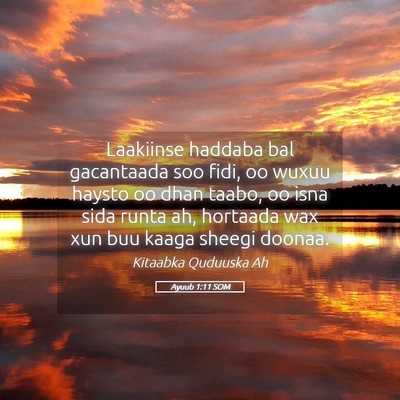 Picture 05 - Ayuub 1:11 SOM - Laakiinse haddaba bal gacantaada soo fidi, oo - Bible Verse Picture