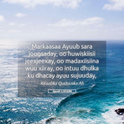 Picture 05 - Ayuub 1:20 SOM - Markaasaa Ayuub sara joogsaday, oo huwiskiisii - Bible Verse Picture