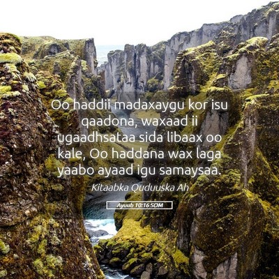 Picture 05 - Ayuub 10:16 SOM - Oo haddii madaxaygu kor isu qaadona, waxaad ii - Bible Verse Picture