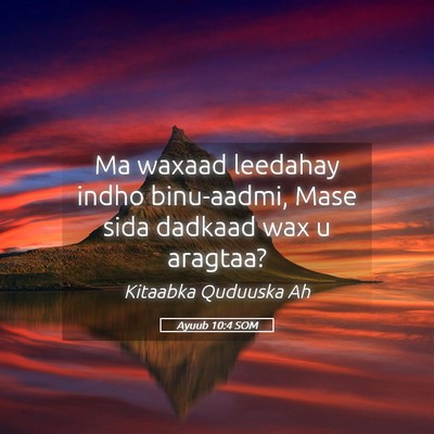 Picture 05 - Ayuub 10:4 SOM - Ma waxaad leedahay indho binu-aadmi, Mase sida - Bible Verse Picture