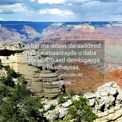 Picture 05 - Ayuub 10:6 SOM - Oo bal ma sidaas daraaddeed baad xumaantayda u - Bible Verse Picture