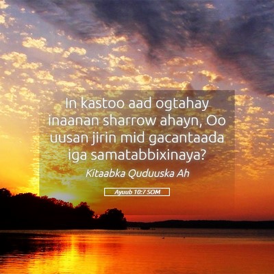 Picture 05 - Ayuub 10:7 SOM - In kastoo aad ogtahay inaanan sharrow ahayn, Oo - Bible Verse Picture