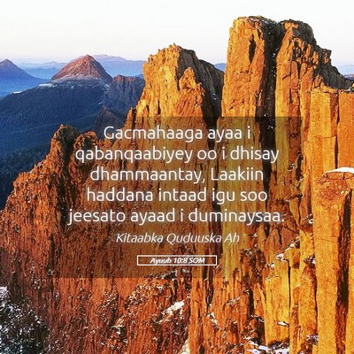 Picture 05 - Ayuub 10:8 SOM - Gacmahaaga ayaa i qabanqaabiyey oo i dhisay - Bible Verse Picture