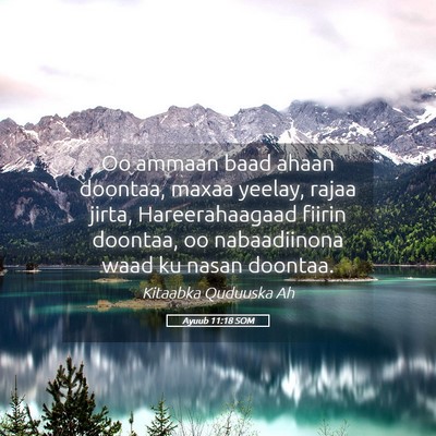 Picture 05 - Ayuub 11:18 SOM - Oo ammaan baad ahaan doontaa, maxaa yeelay, rajaa - Bible Verse Picture