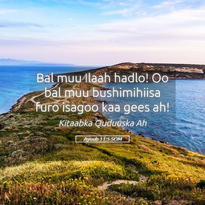 Picture 05 - Ayuub 11:5 SOM - Bal muu Ilaah hadlo! Oo bal muu bushimihiisa furo - Bible Verse Picture