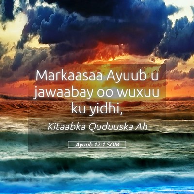 Picture 05 - Ayuub 12:1 SOM - Markaasaa Ayuub u jawaabay oo wuxuu ku - Bible Verse Picture