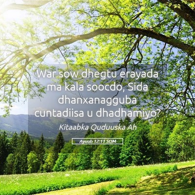 Picture 05 - Ayuub 12:11 SOM - War sow dhegtu erayada ma kala soocdo, Sida - Bible Verse Picture