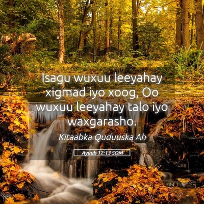 Picture 05 - Ayuub 12:13 SOM - Isagu wuxuu leeyahay xigmad iyo xoog, Oo wuxuu - Bible Verse Picture